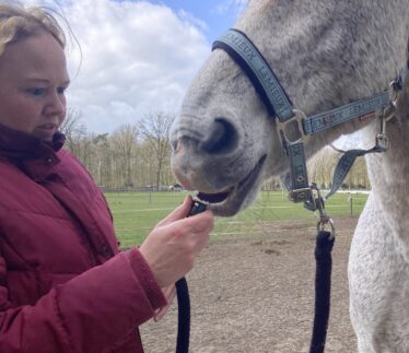 Equinejoy
